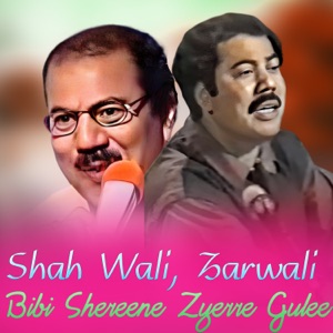 Bibi Shereene Zyerre Gulee