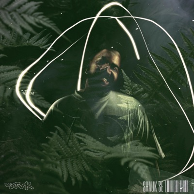 Shauk Se - Single