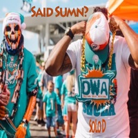 Said Something Miami Dolphins edition (feat. SoLo D) - Single - MiamiSportsMusic