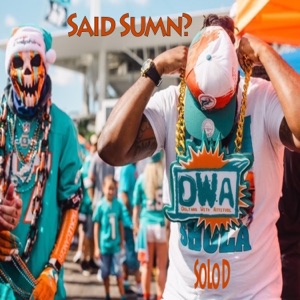 Said Something Miami Dolphins edition (feat. SoLo D) - Single