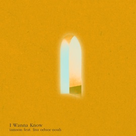 I Wanna Know (feat. Lisa Oduor-Noah) IAMSON