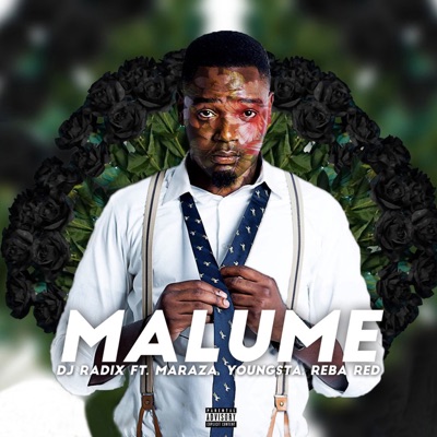 Malume (feat. Reba Red, Youngsta CPT and Maraza) - Single