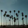 Ride Like The Wind