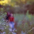I Didn't Care Enough