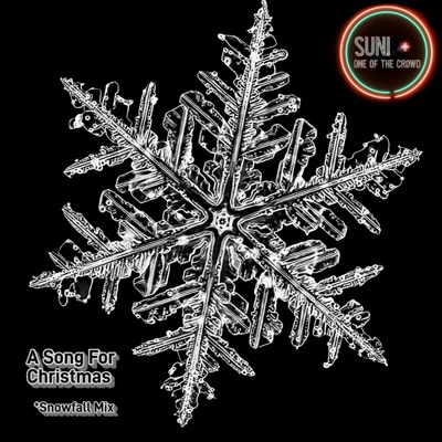 A Song For Christmas (feat. Suni) [Snowfall Mix] - Single