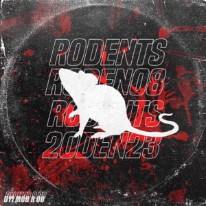 R 08 - Single