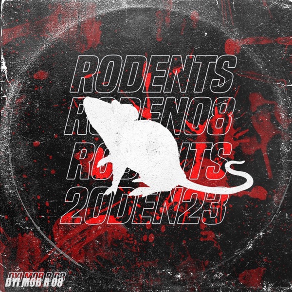 R 08 - Single