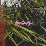 Butterfly (Firefly Remix) - Single