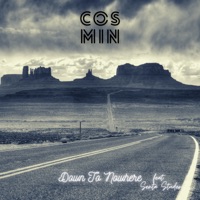 Down To Nowhere (feat. Senta Studer) - Single - Cosmin