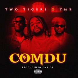Condu (feat. Toleranx TMB) Two tigers