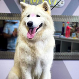 i fuqin feel like mis4ku 2 (Mati Sad Version) Mati Sad