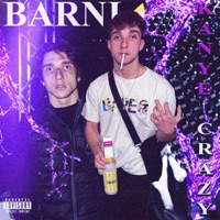 Kanye Krazy (feat. Sp!ce & Stefan Costea) - Single - Barnilgl