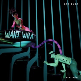 Want What Ace Tyto