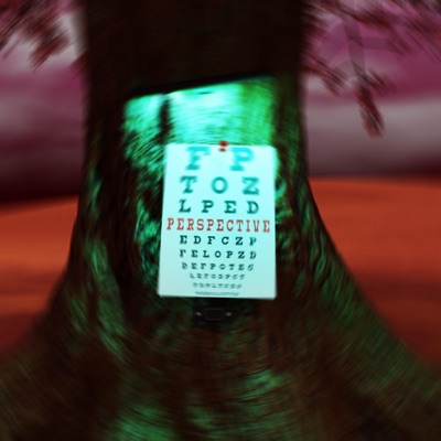 Perspective (feat. Tigerstar) - Single