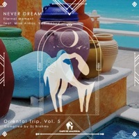 Never Dream - Single - Eternal Moment, VadimoooV & Mira Almas