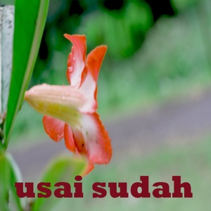 Usai Sudah (feat. Nathalia)