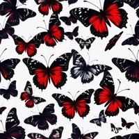 Untitled (I Won't Lie) - Single - Lil Matic