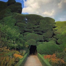 rock ✥⬲⬲ zombiechannel @¥ @¥