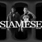 Siamese (feat. LilCJ Kasino) - Deuce Nikk lyrics
