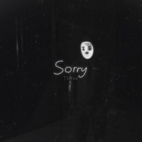 Sorry - Single - Thnked