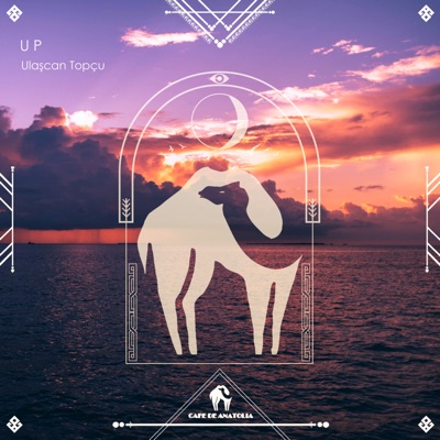 Up - Single