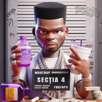 Secția 4 - Single - Mobtrap