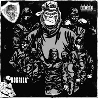 R77 - Single - 16/59 & Korrida