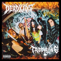 Tiny Caskets (feat. Trippybone) - Single - Dead Kids
