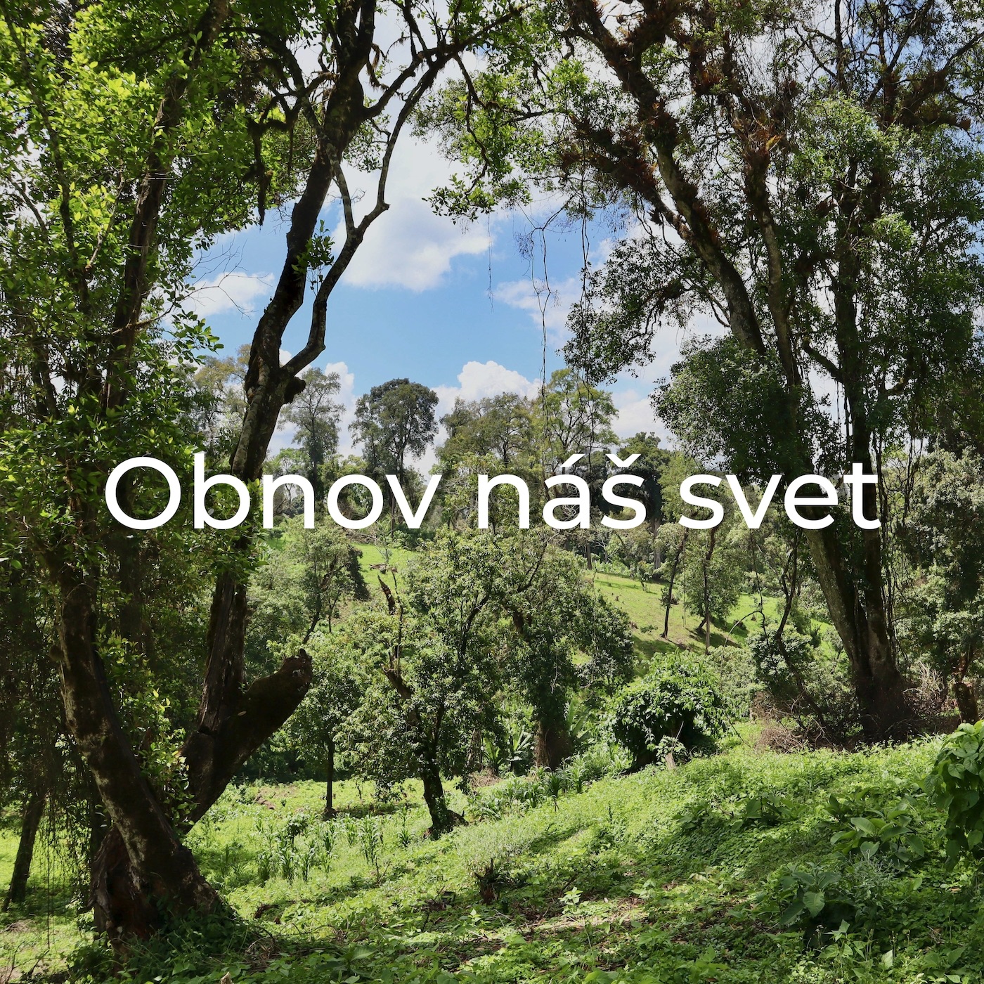 Obnov Náš Svet - Single