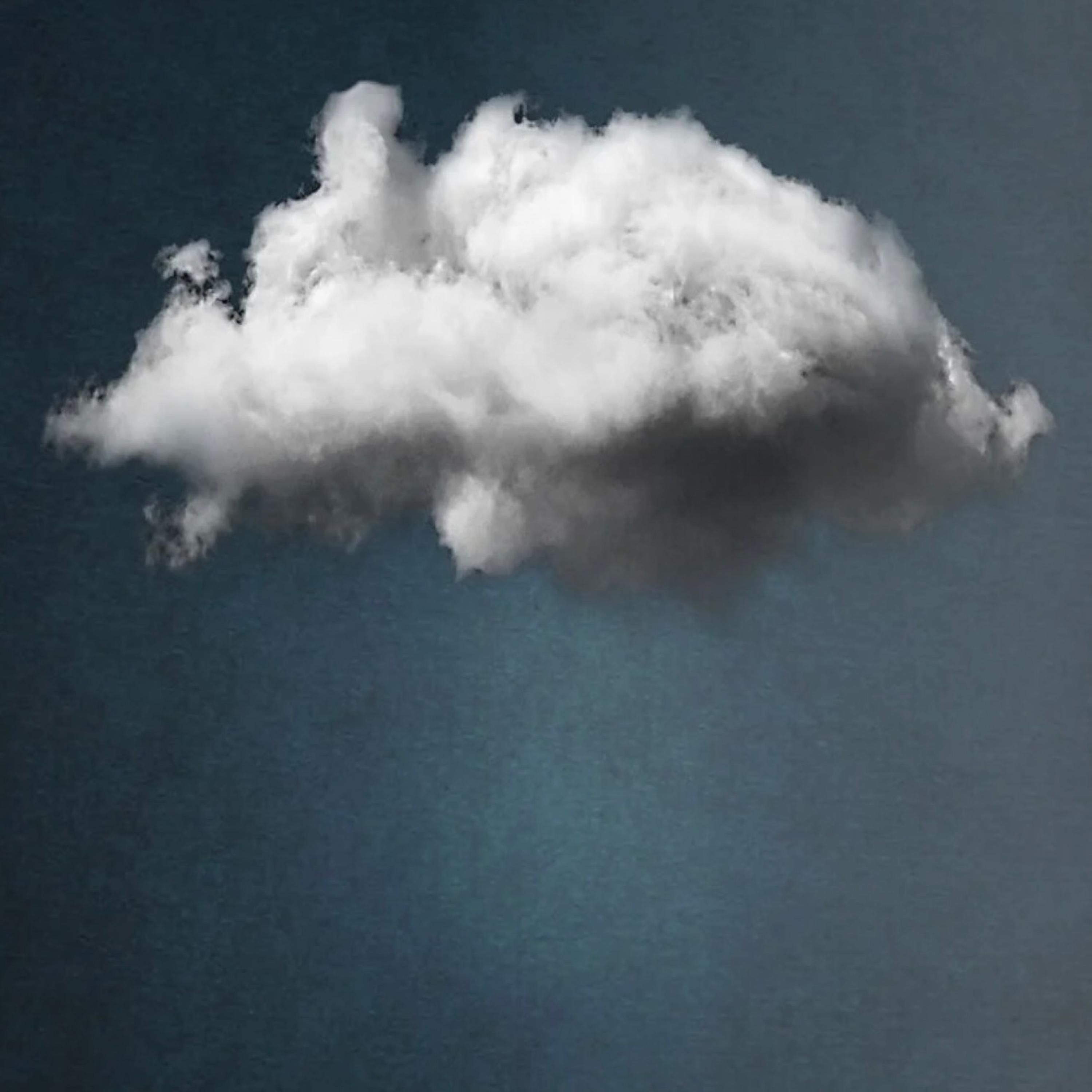 Blank Faces - Single