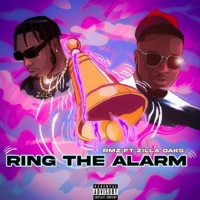 RING the ALARM (feat. zilla oaks) - Single - RMZ