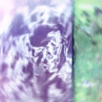 Nitemare - EP