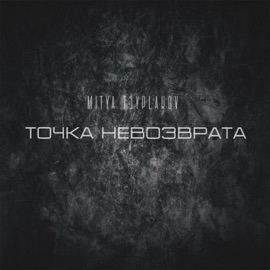 Точка невозврата Mitya Tsyplakov