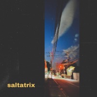 Saltatrix - Single - Dyelo think