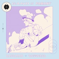 Gând În Pământ - Single - BASSARAB