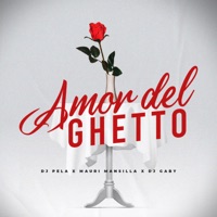 Amor del Guetto (Remix) - Single