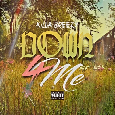 Down 4 me (feat. Jus K) - Single