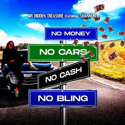 No Money No Cars No Cash No Bling (feat. Shannon B) - Single