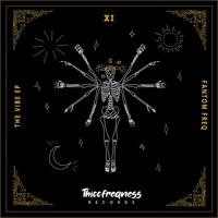 The Vibe EP - Fantom Freq