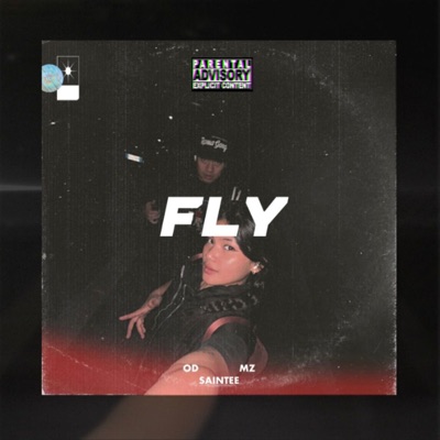 Fly (feat. OD MZ & Saintee) - Single