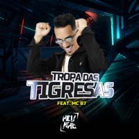 Tropa das Tigresas (feat. Mc B7) - Single - DJ Helinho