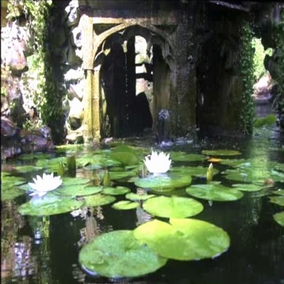 IM In the Water - Single