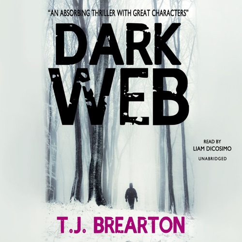 Dark Web (The North Country Series) cover