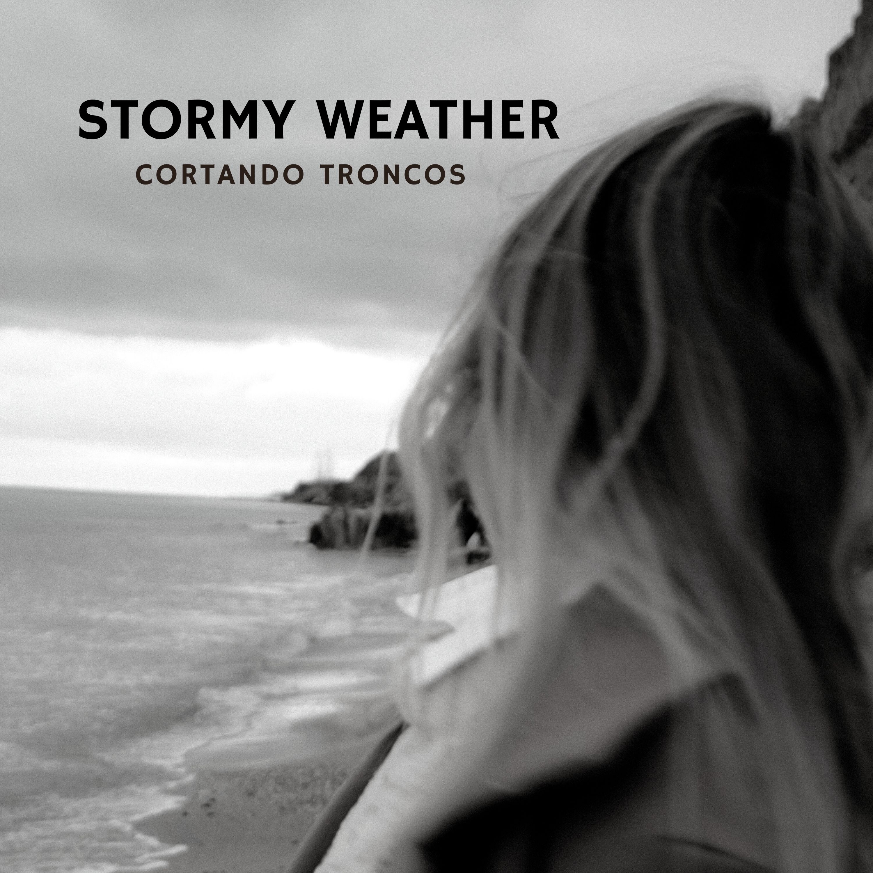 Stormy Weather - Single