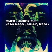 Anger (feat. Ras Kass, Sully, KRS-One & Rob Swift) artwork