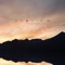Lost Road - Suasion lyrics