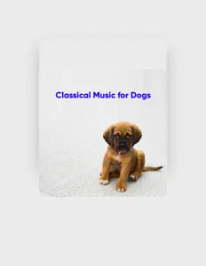 收听 Classical Music for Dogs、观看音乐视频、阅读小传、查看巡演日期等 ！