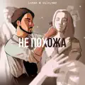 Не похожа