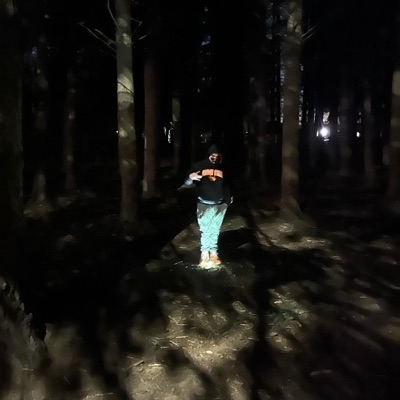 WestSide (feat. Bavi & Ed) - Single