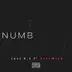 Numb (feat. RIFT WILD) song reviews